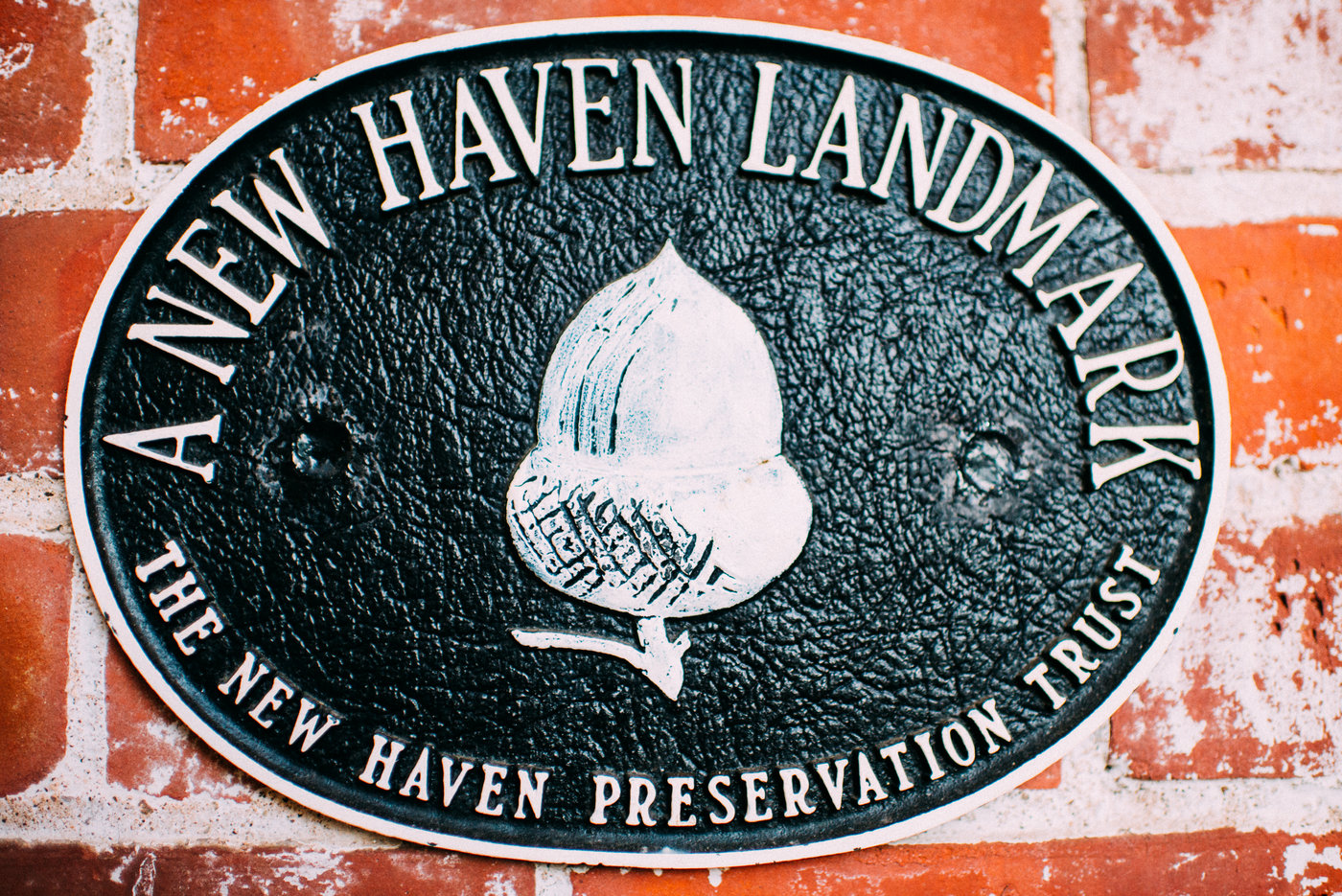 New-Haven-Lawn-Club